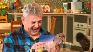 Gerdastan on Shant TV-30.12.2011