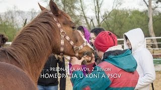 HOMEOPATIA U KONI A PSOV - MVDr Z. BESSON
