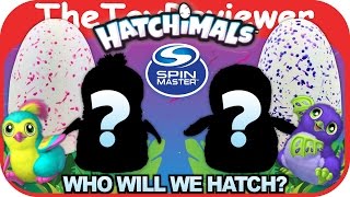 Hatchimals Eggs Penguala & Draggle Hatching Day Spin Master Unboxing Toy Review by TheToyReviewer