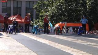 Чемпионат Мира по пожарно спасательному спорту в Чехии( WORLD CHAMPIONSHIP OF THE FIRESPORT)