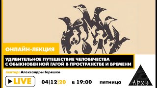 Онлайн-лекция "Удивительное путешествие человечества с обыкновенной гагой в пространстве и времени"