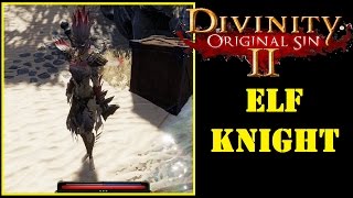 Divinity Original Sin 2:  Elf Knight OP
