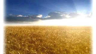 Майборода Дарья - Принцесса Николаева 2012