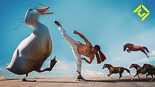 Man vs Horse Sized Duck vs 100 Duck Sized Horses