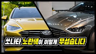 쏘나타 는 노랑이지.....만 안 팔림 '내공 1갑자 랩핑 장인이 말하는 진실과 오해'
