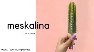 Co Chcą Nam Powiedzieć KAKTUSY? // podcast #5