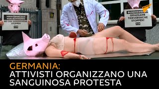 Germania: attivisti organizzano una sanguinosa protesta