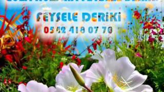 Güla Hozana Feysele Deriki & Full Gas Shexani Stly Arabic 1 ® Television Onur Neuwhs XPL !