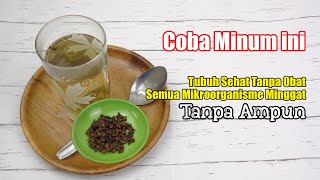 TAK USAH OBAT MAHAL, HANYA MINUM INI TUBUH BEBAS PENYAKIT SEUMUR HIDUP