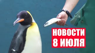 Пингвины устроили голодовку! / Латвийского мэра обвинили в измене родине / Новости 8 июля