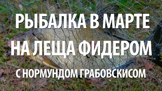 ФИДЕРНАЯ ЛОВЛЯ ЛЕЩА и ПОДЛЕЩИКА ВЕСНОЙ. РЫБАЛКА в МАРТЕ на ФИДЕР с НОРМУНДОМ ГРАБОВСКИСОМ