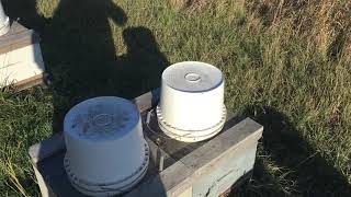 The problem with top pail feeding