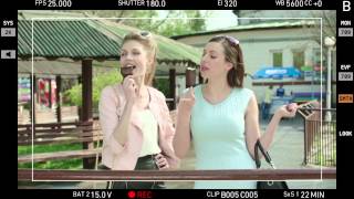 Making of ЛИМО. Зебры
