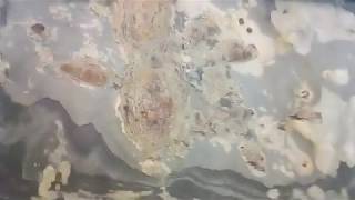 Каменный шпон - с маслом и без