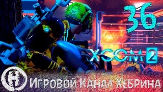 Прохождение XCOM 2 - Часть 36 (На пороге)