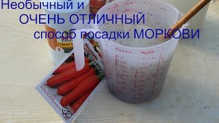 Хитрый способ для УРОЖАЙНОЙ МОРКОВИ.