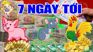 Chạy Ngay Mua 7 Vé Số, 3 con Giáp 100% TRÚNG SỐ ĐỘC ĐẮC, 7 Ngày Tới CHẮC CHẮN ĐỔI ĐỜI, TRẢ SẠCH NỢ