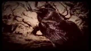 The Coral - The Curse of Love