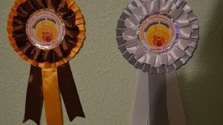 Шиншилловая ферма Сергея Паль  Журнал учёта  Племенная работа