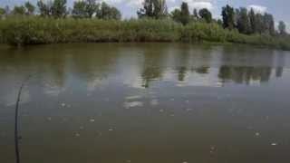 MEGABASS Power Bomb - любимый раттлин окуней.Perch Fishing.