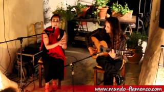 Alegrias Guitarra y Cante