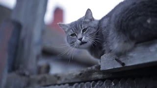 Портретная видео съёмка. Саратов, энгельс. DSLR Russia video.