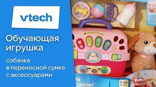 Обучающая игрушка для малышей - Собачка в переносной сумке, Vtech. Обзор от Toyexpress