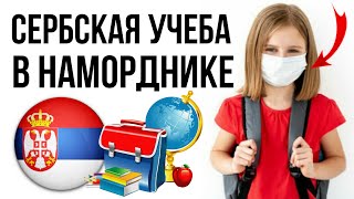 РОДИТЕЛЯМ СМОТРЕТЬ! НОВАЯ СИСТЕМА ОБУЧЕНИЯ В СЕРБИИ С 1 СЕНТЯБРЯ!