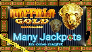 ⚠️ Playing in BUFFALO GOLD COLLECTION Slot Machine | JACKPOTS WINS | Subscribe now!