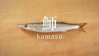 魳（かます）のさばき方 - How to filet Barracudas -｜日本さばけるプロジェクト