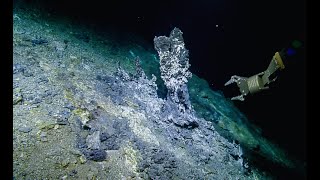 From Ship to Shore: Processing Geological Samples | Nautilus Live