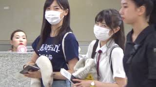 180807 AKB48 혼다 히토미(本田仁美) 김포 공항 출국