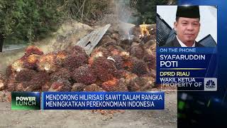 SDM Hingga Teknologi, Kendala Hilirisasi Sawit RI