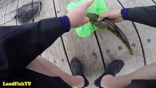Werribee River Fishing