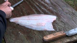 How To Filet, Skin and Debone a Flounder
