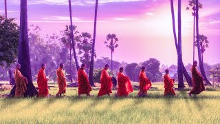Detox Your Mind | Miracle Tone 528Hz | Self Love Healing Meditation | Stress Relief Healing Music