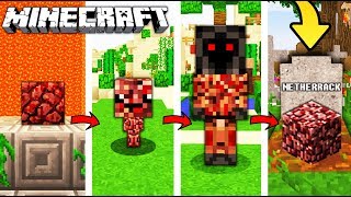 ŻYCIE NETHERRACK W MINECRAFT || OD NARODZIN DO ŚMIERCI