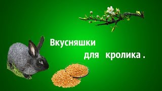 Кормление кроликов