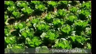 Фюзилад Форте