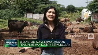 Jelang Iduladha, Penjual Hewan Kurban Mulai Ramai!