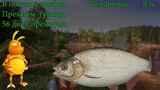 Премиум турнир. Язь. В поисках трофея.  Комариное. [1440p] Русская рыбалка 4. Russian Fishing 4.