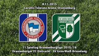 Oranienburger FC - GW Brieselang 2:4 (8.11.2015)