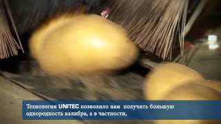 Линий для обработки и калибровки Картофеля - UNITEC