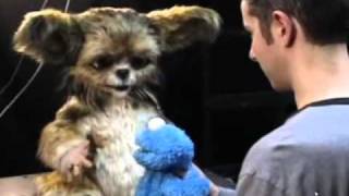 Leonardo: The most expressive robot in the world today!