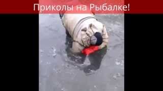 На рыбалке не бывает скушно 100 % )) Вот это прикол!!!