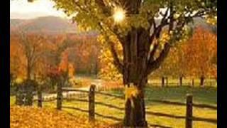 Tie A Yellow Ribbon