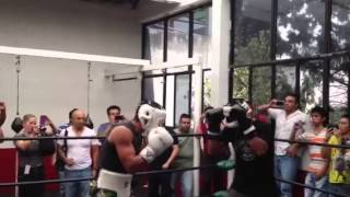 Juan Manuel Márquez vs rocky Santillo Sparring sesión