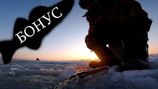 Последний лед/2 часть/БОНУС!/2019