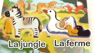 Apprendre les animaux de la jungle et de la Ferme