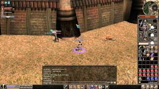 Metin2.DE - OneAndOnly PVP Video 2010 [Kartago]